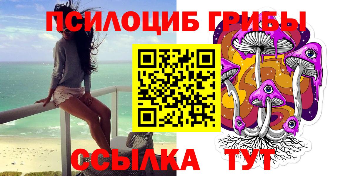 Киселёвск  Псилоцибиновые грибы ЛСД  Псилоцибиновые грибы ЛСД  Вход с VPN 